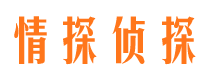 田阳情人调查